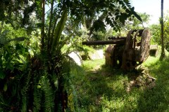 Sokehs Mountain (Pohndollap), Sokehs Island, Pohnpei, Federated States of Micronesia (FSM)