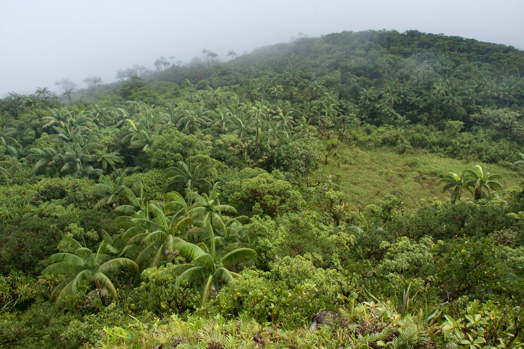 Nahnalaud — the Big Mountain | Pohnpei Eco-Adventure Guide